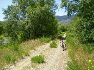 Pavement ends, trail is now gravel, Kettle Valley Railway Oliver to Osoyoos Lake, 2011-06.